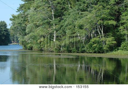 Pond