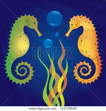 Vector illustration of underwater scene with two seahorses on a dark blue background