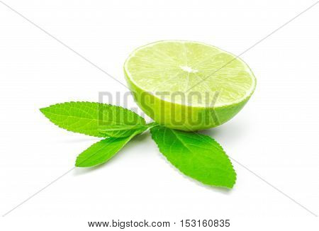 Slice of lime citrus fruit isolated on white background.