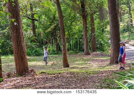People Walk Together With Their Dog At The Aclimacao Park