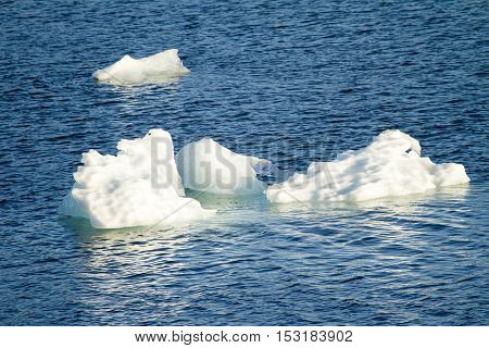 Amalia Glacier - Global Warming - Ice Formations