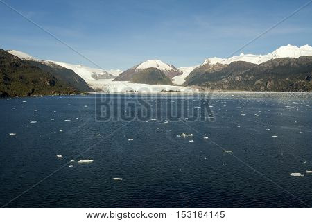 Chile - Amalia Glacier Landscape