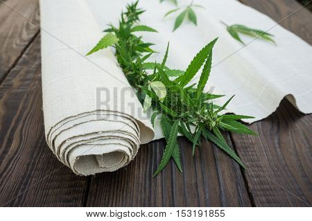 Leaves of cannabis and hemp cloth rollon the dark wooden surface. Hemp products. Agricultural technical culture