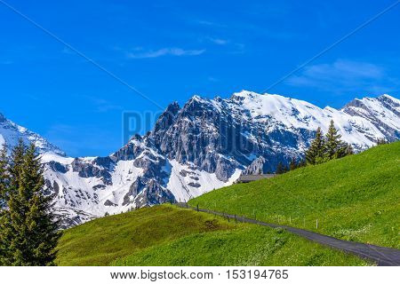 Beautiful Swiss mountain valley landscape with trail.