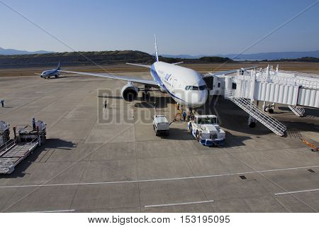 All Nippon Airways (ana) Airplane