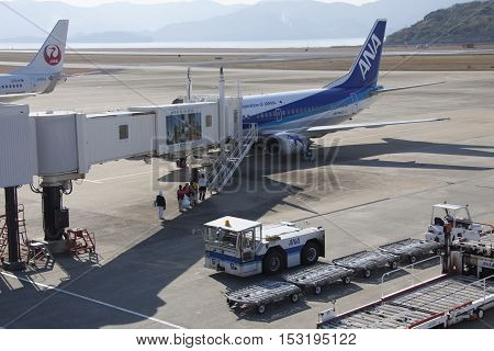 All Nippon Airways (ana) Airplane