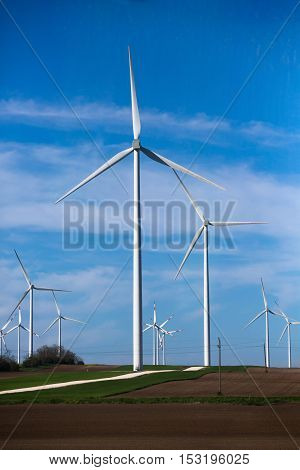 Green meadow with wind turbines generating electricity. Picture of many wind turbines on field. Green energy concept.