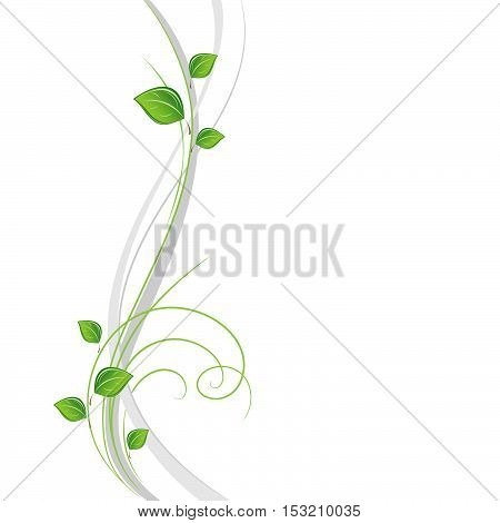 Beautiful abstract floral background with green leaves . Element for design.