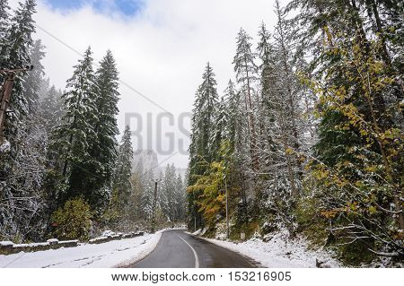 Mountain road in Bicaz Canyon, Romania, at later autumn. Canyon is one of the most spectacular roads in Romania.