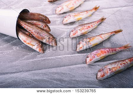 saltwater fish mullet in a bucket on a gray background