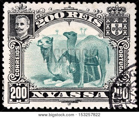 LUGA RUSSIA - JUNE 25 2016: A stamp printed by NYASSA shows portrait of King Dom Carlos I against African landscape with two dromedary camels. Niassa is province of Mozambique circa 1901