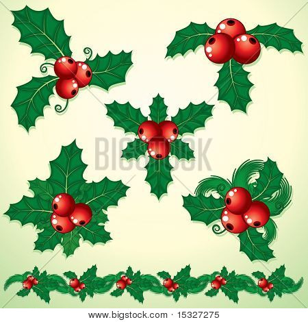 装飾的な要素のクリスマス ヒイラギの小枝セット