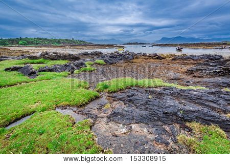Green Coast In Scotland At Low Tide