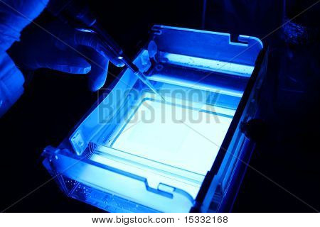 pipettaggio
