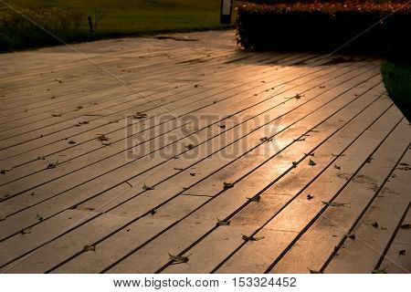 Reflection of sunlight on the pavement of the park in the evening Background Or Texture With Copy Space.