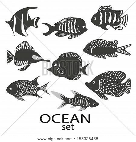 Fish silhouettes set. Collection of black and white sea fish isolated on white background. Vector illustration.