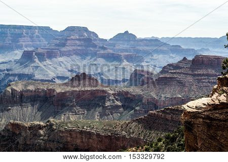 Descending The Kaibab Trial
