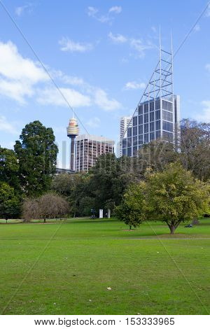 Walking In The Royal Botanical Gardens