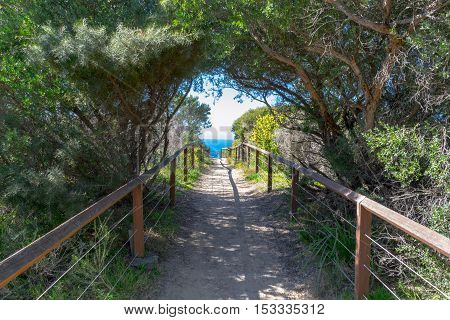 Coogee Beach In Sydney