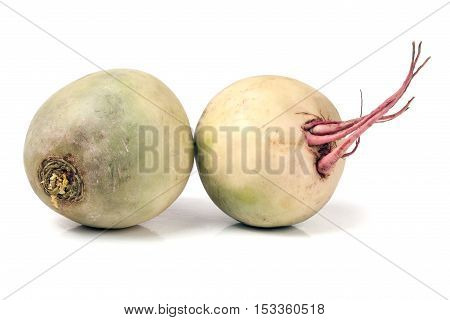 Two watermelon radish isolated on white background.