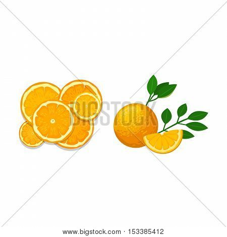 Ripe fresh orange on a white background. Orange isolated vector and juicy ripe vitamin fresh orange isolated. Orange isolated tropical healthy fruit and refreshment exotic dessert.