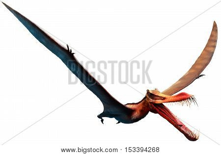 Anhanguera  with large toothed beak 3D illustration