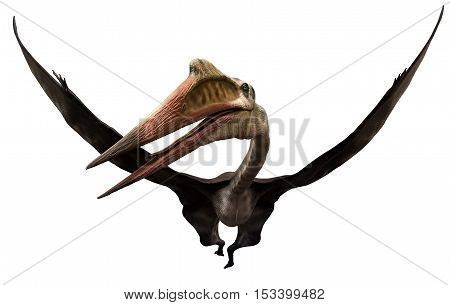 Quetzalcoatlus from the  Cretaceous era 3D illustration