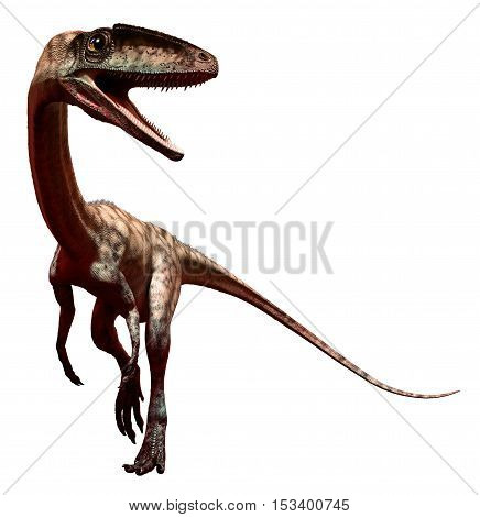 Coelophysis from the Triassic era 3D illustration