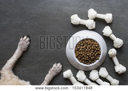 dog food and dog paw on black background
