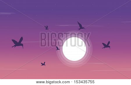 Silhouette of birdsea and moon scnery vector illustration