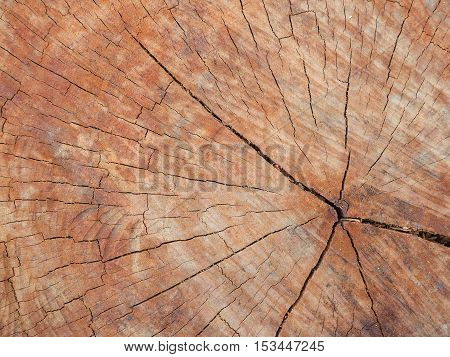 Closeup wooden texture for background Top view