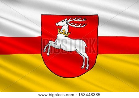 Flag of Lublin Voivodeship or Lublin Province in southeastern Poland. 3d illustration