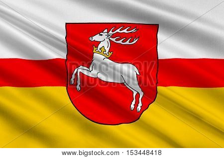 Flag of Lublin Voivodeship or Lublin Province in southeastern Poland. 3d illustration
