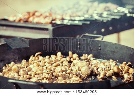 Assorted delicious grilled meat with vegetable over the coals on a barbecue