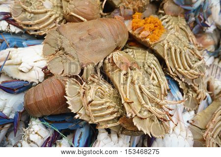Fresh slipper lobster at market and crab.