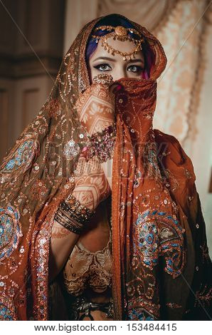 Portrait Of A Beautiful Young Woman In Traditional Indian Ethnic