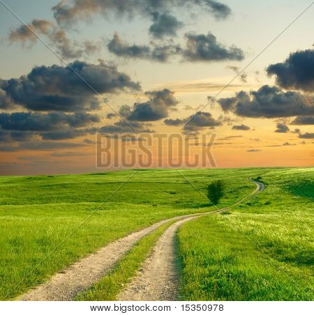 夏天风景与绿草、 路和戏剧性的天空