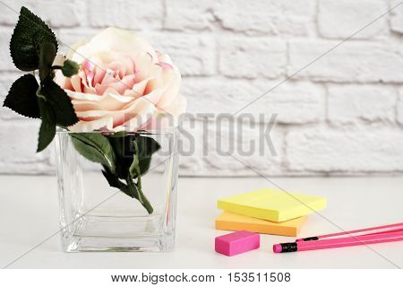 Hot Pink Styled Desktop. Garden Roses Styled Stock Photography. Product Mockup, Graphic Design. Rose