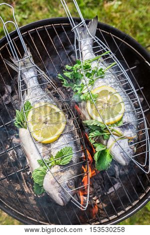 Grilling Tasty Fish With Lemon And Herbs