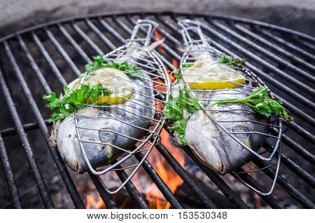 Tasty Fish With Herbs And Lemon On Grill
