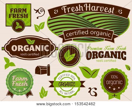 Organic Labels-Set of Organic Labels and Design Elements