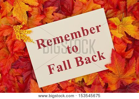 Fall Back message Some fall leaves with a beige greeting card with text Remember to fall back