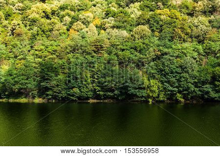Autumn forest colors along Olt river in Romania