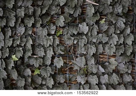 Plastic green leafs covering a metall mesh