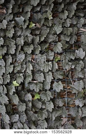 Plastic green leafs covering a metall mesh