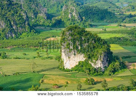 Landscape view of Pu langka (lang ka mountain) in day time, popular natural tourist attraction in Phayao province northern Thailand.