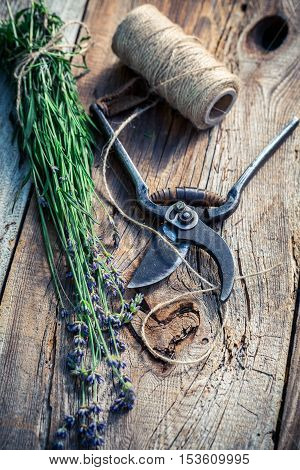 Freshly harvested lavender on old wooden table