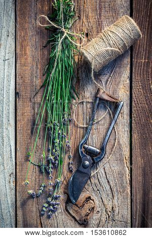Closeup of fresh lavender before drying on old wooden table