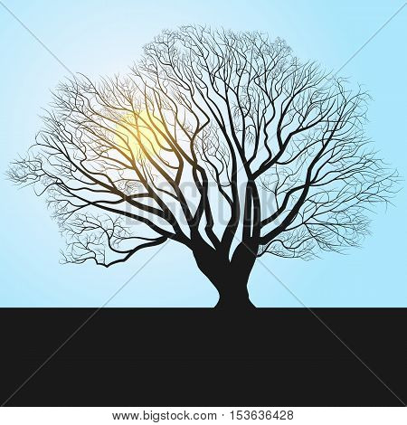 tree silhouette and noon. vector eps 10
