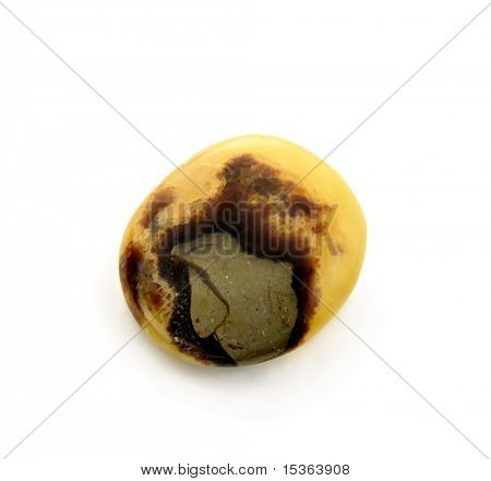 Septarian - lucidata in pietra dal Madagascar